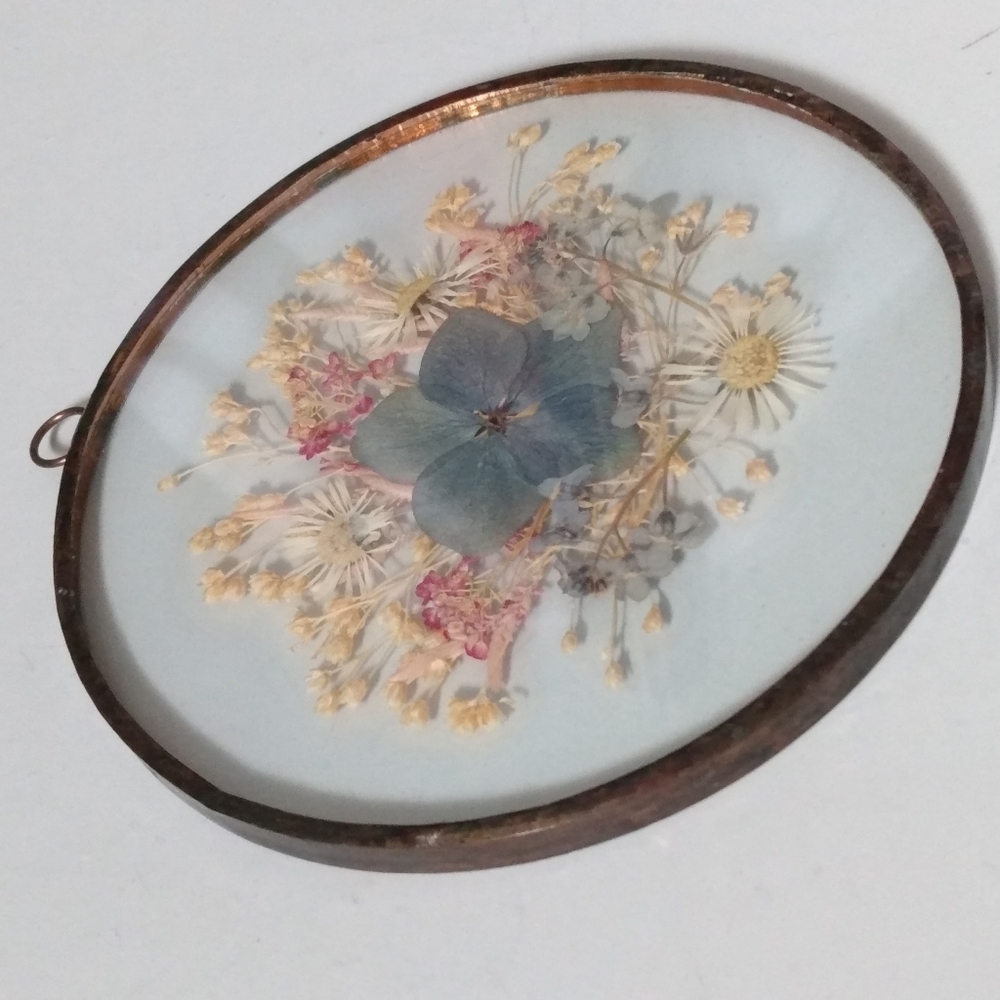 Vintage Pressed Flowers in Glass Wall or Window Hanging